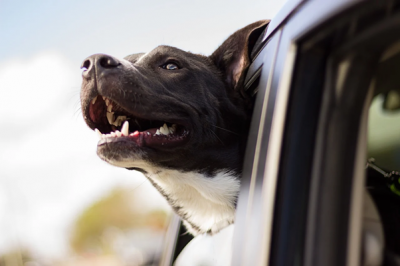 The ABCs Of Happy Driving