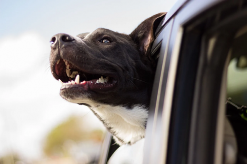 The ABCs Of Happy Driving